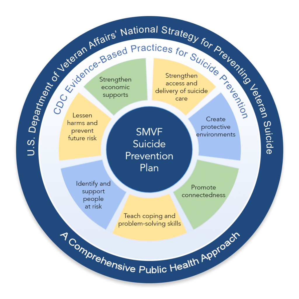 US Department of Veteran Affair's National Strategy for Preventing Veteran suicide. This image gives multiple areas to take into account.